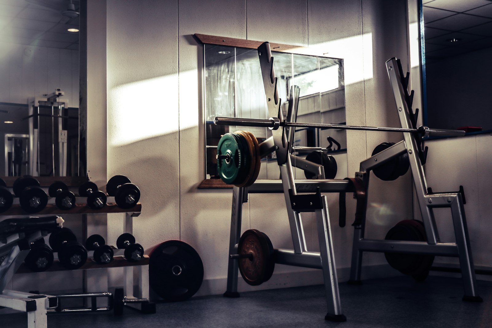 Área de peso libre de un gimnasio equipado